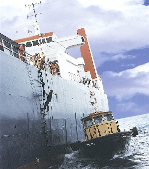 pilot boarding to ship