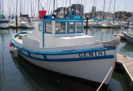 smgemini