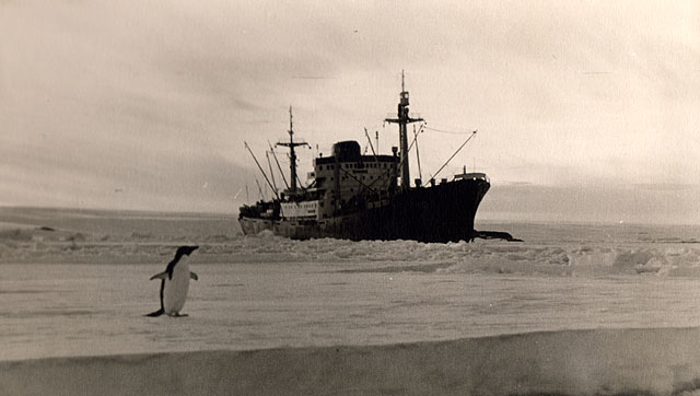 antarctic expedition ship ob model ship plans