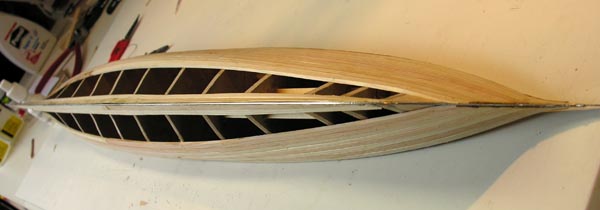 Lady Torfrida scale model jürgen willing DSCN0052